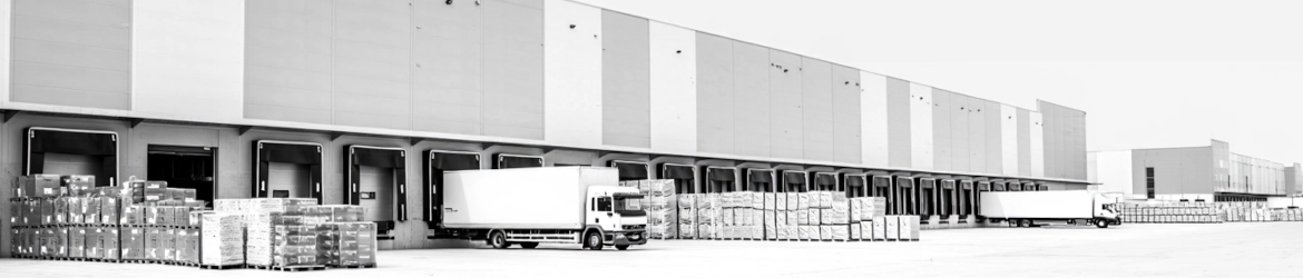 Перейти в каталог сигарет оптом